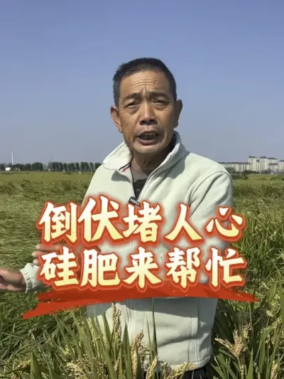 ���������ֵ���Ҫ���������#С�󵹷� #�����������Ļ���