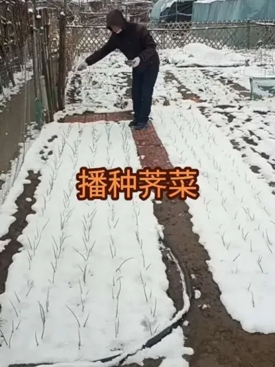 ����&ldquo;ѩ����&rdquo;����