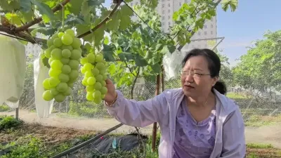 �������ѹ�ҵ����ϵͳ�����ۺ�����վվ�������о�Ա���ݽ��ȹ�ϵ��Ʒ���ڸ���ʡ��������