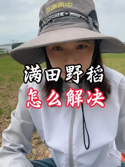野稻这么打#老百姓关心的话题 #分享农业知识帮农民增产增收