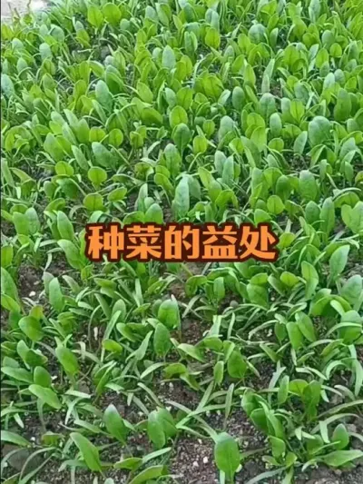 �ֲ�֮�洦&mdash;&mdash;���ģ����˼��磩