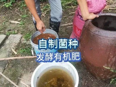 �Լ������־��������������;��������л���Ч������� #��ũ #�л��ʷ��� #��¼�ҵ�ũ������ #�ֲ� #ݪֲС���� 