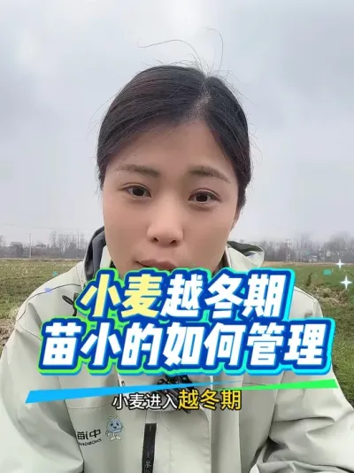 С��Խ���ڣ�����������������С������ģ��м�������Ҫ����#����ũҵ֪ʶ��ũ���������� #�����������Ļ���