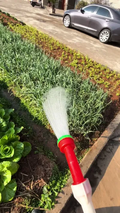 ������Ľ�һ�²�������̫����#ũ��ũҵũ�� #ũҵݪֲ  #����ũ���� #ݪֲ���� #��¼��ʵ����