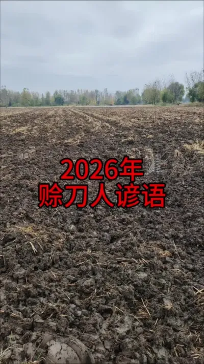 #���� #ũ������ #��ũ