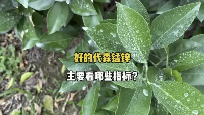 好的代森锰锌需要具备哪些主要指标？ #三农 #农业 #农药 #柑橘 #代森锰锌 