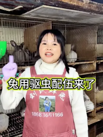 #���� #������ #��ũ