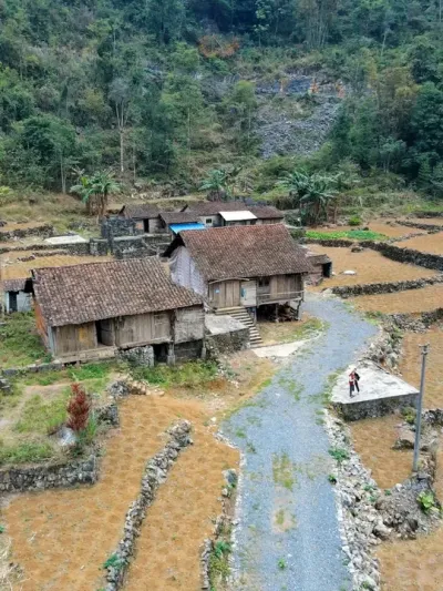 �����̻�ֻʣ�������ﳤ�ݲ���������ʱ�������������Ư��������#������������ #�����ػ��� #ũ������