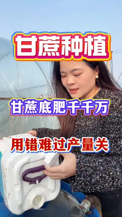 ��������ȥһ�����ڵĳ��ƾ���һ��Ĳ��������ǵ׷ʺ�Ҫ�����ô��ѹ�������#����ݪֲ#����ʩ��#����