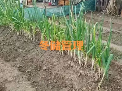 ��������ջ�ʱ�估���ڹ���