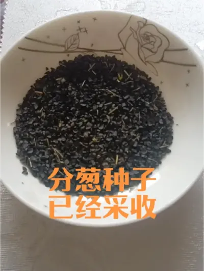 2025��ִ������Ѿ����սӴ���Ⱥ��������