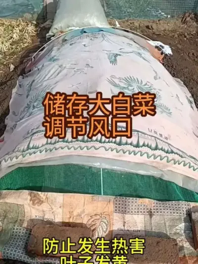 ������ȷ��������ת��������