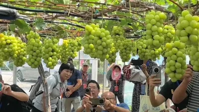 ��е��ժ����?�ˣ�