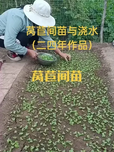 ݫ�ļ��������罽ˮ�������꣩