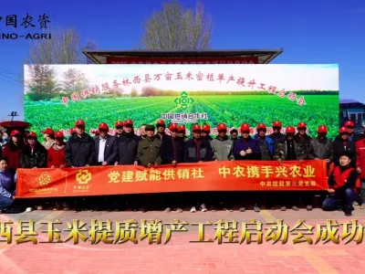 中国供销服务林西县万亩玉米密植单产提升工程启动会顺利召开！#新质生产力赋能农业绿色发展#万亩密植玉米单产提升工程守护粮安！#玉米密植单产提升