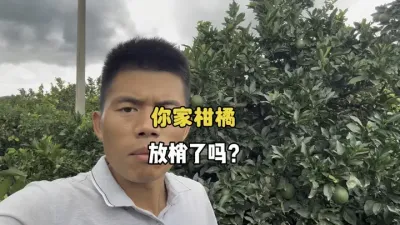 ���ϴ����������ָ���Ҫץ������ #ũҵݪֲ #��ũ #��԰���� #������ #����ݪֲ 