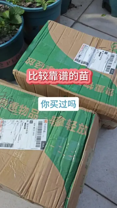 @���������ݮ ��ݮѨ��������ݮ���� #��ݮ�� #�ֲ�ݮ #���Բ�ݮ #��ݮݪֲ #��ݮݪֲ����