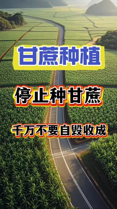 ������������������ǰ����ɺ��ʺ�������������Ҫ������������쳤�ƺ���һ����Ҫƾ֤ͨ���Ĺ���Ҫ��#����ݪֲ#����ʩ��#����