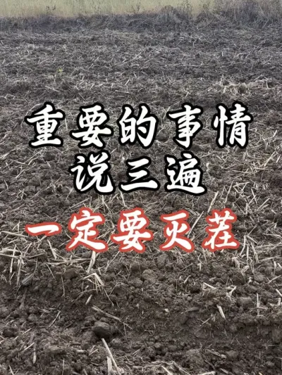 这个地，不灭茬，没办法种了#分享农业知识帮农民增产增收 #老百姓关心的话题