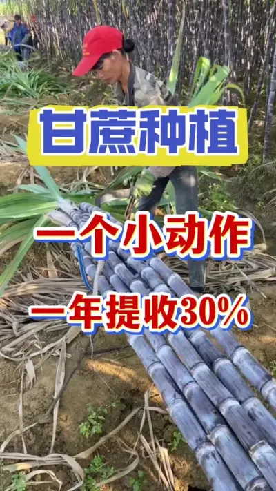 ��Ҫ������ǰ������ռ�߼��г��������ǽڳ��ڴ��Ƿ���ڸк�����������30%��������·���һ����Ҫ�������С��#����ݪֲ#����ν�#������������