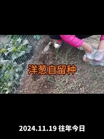 ����Լ��������ӵ�Ҫ�죨2024�꣩