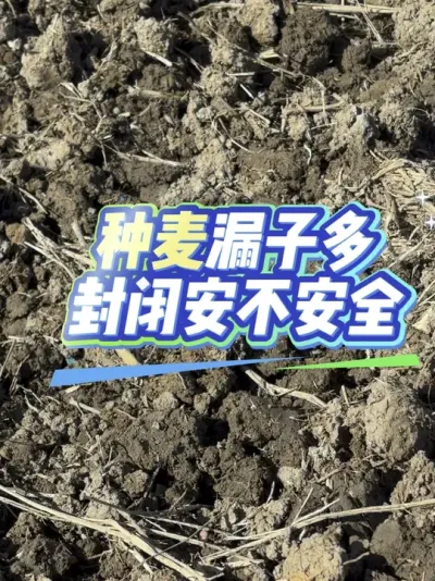 ©�Ӷ�����ô�رղ��徲#����ũҵ֪ʶ��ũ����������