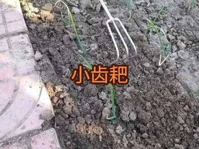 �Ƽ�һ����������õ�С�ݰ�