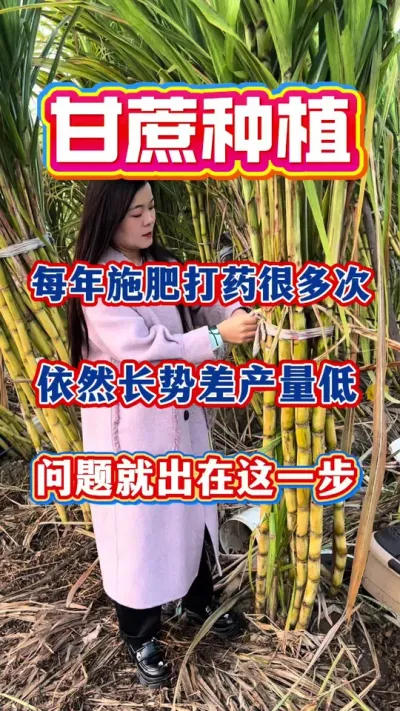 �ָ�������Ҫ���õ׷�#����ݪֲ#�������#����ʩ��