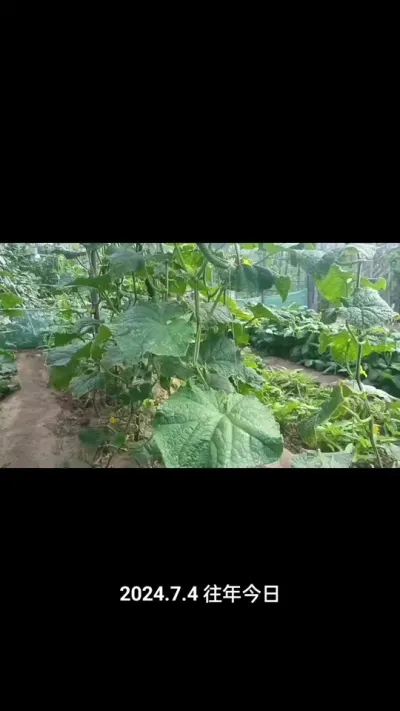 �ƹ����չ���ע������