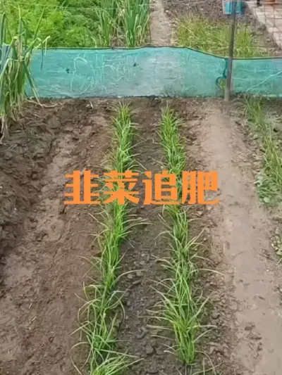 �²�˪���󼰶�������֮һ