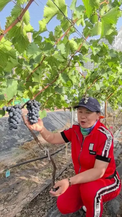 �ó���Ŀ���ֵ�����Ʒ��&mdash;&mdash;��⣡