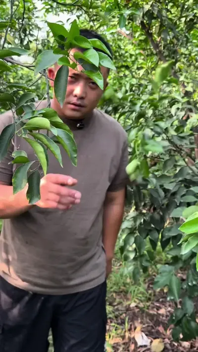 �úÿ�����#��ũ #����ݪֲ #֪ʶ���� #����ݪֲ