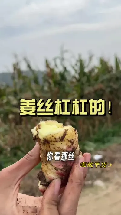 �������ڲ�������˿һ���ܸܸܵģ�#��ũ������2025 #������ѧũ�� #�����ػ��� #��ݪֲ