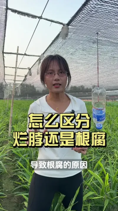 ��ôȥ���ִ��ò��͸�����#��ũ������2025 #������ѧũ�� #�����ػ��� #���� #���ò���