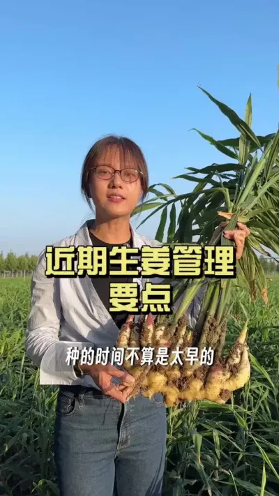 ����������ô���������ڽ�������Ե���&hellip;&hellip;#��ũ������2025 #�����ػ��� #��ݪֲ #������ѧũ��