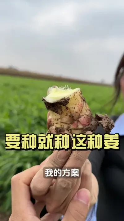 �����޷���������ʲô���Ľ��������Լ�˵������������������Ҳ��#�����ػ��� #��ũ������2025 #���� #�潪