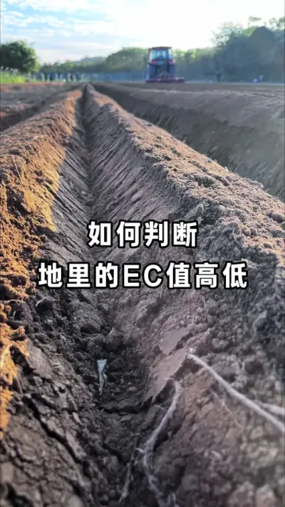 ��ʵ����ׯ�ڳ�Ƿ�������綨�ǻ����������ܿ����������ηֳ��� #�������ջ� #�������� #����ݪֲ #�������� #ũҵݪֲ