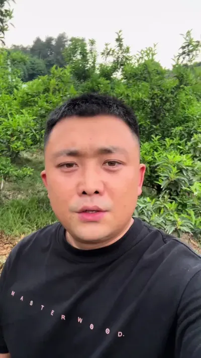 有机加无机才是正确的施肥方式#柑橘种植 #土壤改良