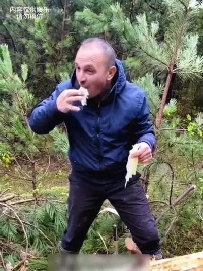 �������ֲ��Ʒ�ֵ��������������������#��ľ #�Ž��� #����