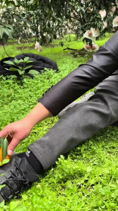 �ѽ������������#�Ĵ�ɢװӢ�� #�ѽ��ҰҸ� #��ũ #ԭ����Ƶ