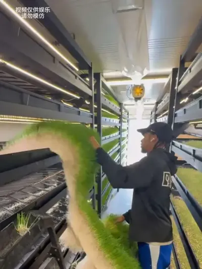 ����ʮ�ֲ��Ʒ�ֵĲ������������������#��ֲ #ֲ��ٿ� #�ݱ�ֲ��