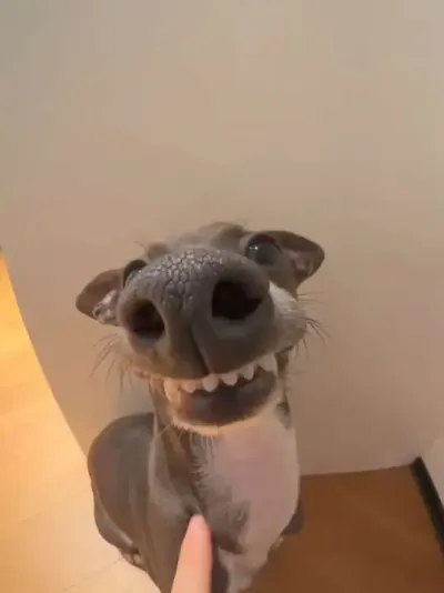 ����ʮ�ֲ��Ʒ�ֵĹ���������������������#���� #���涯���ڶ��� #�ȳ�