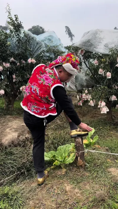 ������������#�ѽ�#��Ц��Ƶ #����ݪֲ