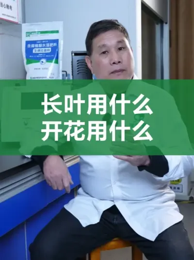 �������������ڸ���ʲô�����㶼֪������ #������֪ʶ #ũ���� #ݪֲ�� #ݪֲ���� #��ũ������������