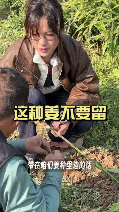 �������ֽ��ˣ�#��ũ������2025 #������ѧũ�� #�����ػ��� #��ݪֲ