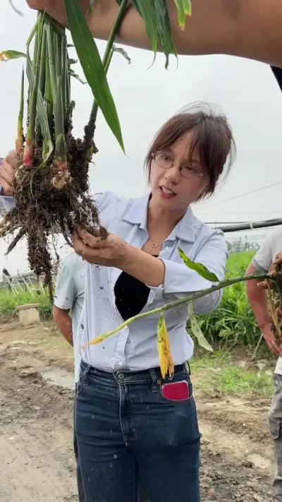 ���������ϱ�����˵���ֽ���׬Ǯ����������Σ����ô���óͷ���ǰ����ô���������ܶ���ٳ����Ľ���Ҳ������&mdash;&mdash;��Ȼû����������ǲ����������ܵ�����Ӱ��Ľ������Ĺ����������������ϸ��������������õĲ���������