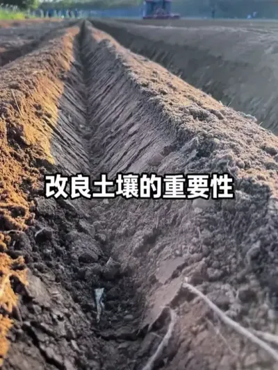 ������������Ҫ��#��������#�����޸�#�������#�л�ũҵ#��ũ