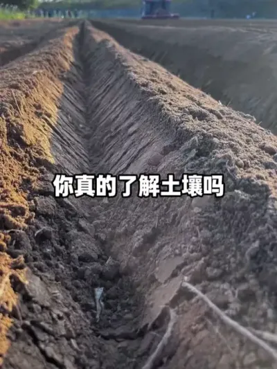 ֻ�е�����������ϧ��������Щ�����������������п����һ�ʳ����ʧ�ٵķ�����Ӫ����#ũҵݪֲ #�������� #΢���� #�������� #�л���