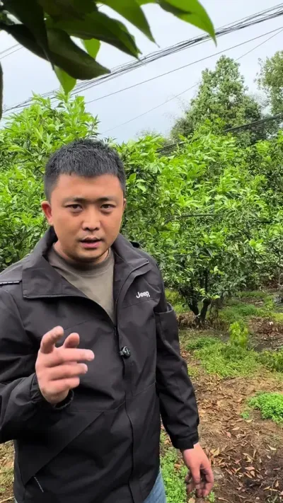 新疆矿源黄腐酸钾#矿源黄腐酸钾 #柑橘种植 #三农 #好物推荐🔥