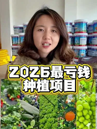 2026���Ǯ��ݪֲ��Ŀ����������� #��ũ #ũҵ #��ݮ #ũ�ʻ���